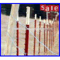 America and Europe Top-selling farm metal T fence post